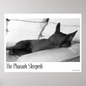 Pharaoh Hound | Pharoah Sleepeth Poster (Vorne)