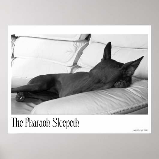 Pharaoh Hound | Pharoah Sleepeth Poster (Vorne)