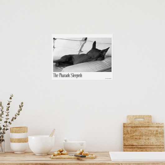 Pharaoh Hound | Pharoah Sleepeth Poster (Küche)