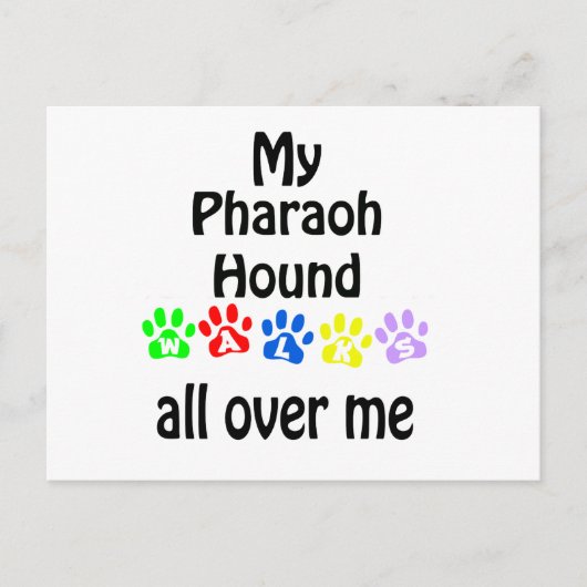 Pharaoh Hound Walks Design Postkarte (Vorderseite)