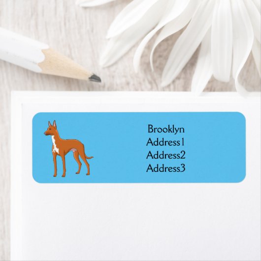 Pharaoh-Hund-Cartoon (Insitu)