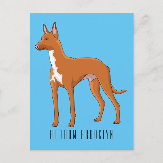 Pharaoh-Hund-Cartoon Postkarte (Vorderseite)