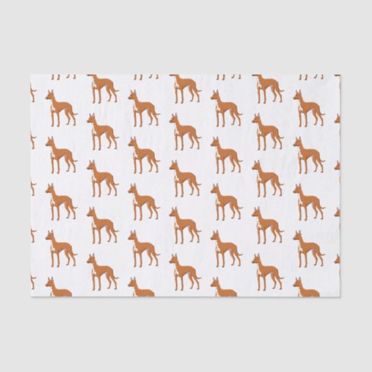 Pharaoh-Hund-Cartoon Seidenpapier (Vorderseite)