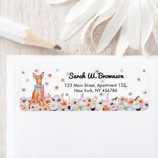 Pharaoh Malta Dog (Insitu)