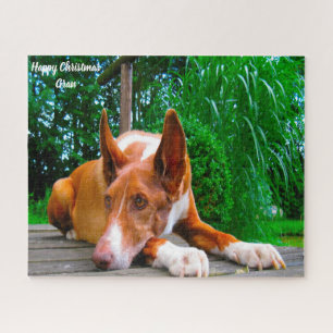 Pharaonenhund. Puzzle