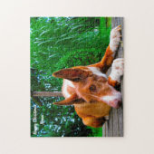 Pharaonenhund. Puzzle (Vertikal)