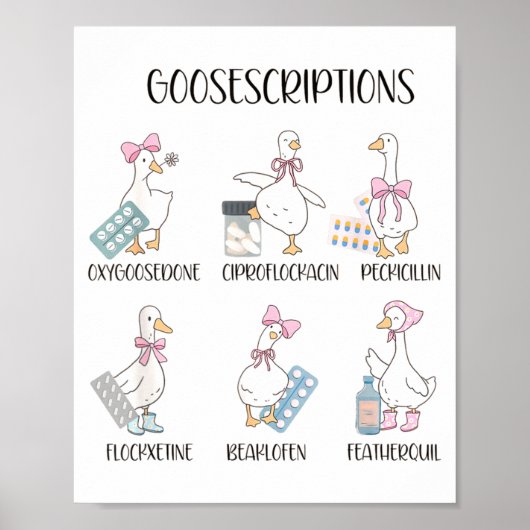 Pharmacy Funny Goose Silly Prescriptions Puns Medi Poster (Vorne)