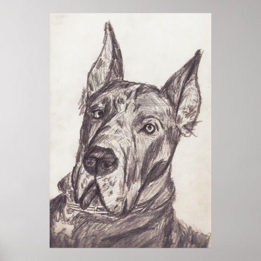 pharoah sk3 str poster (Vorne)