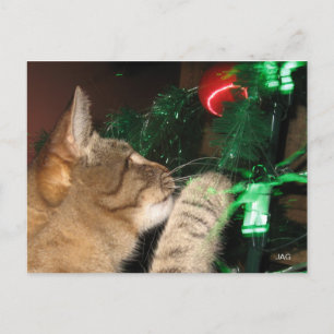 Phat Cat und der Weihnachtsbaum Feiertagspostkarte