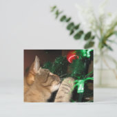 Phat Cat und der Weihnachtsbaum Feiertagspostkarte (Stehend Vorderseite)