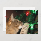 Phat Cat und der Weihnachtsbaum Feiertagspostkarte (Vorne/Hinten)