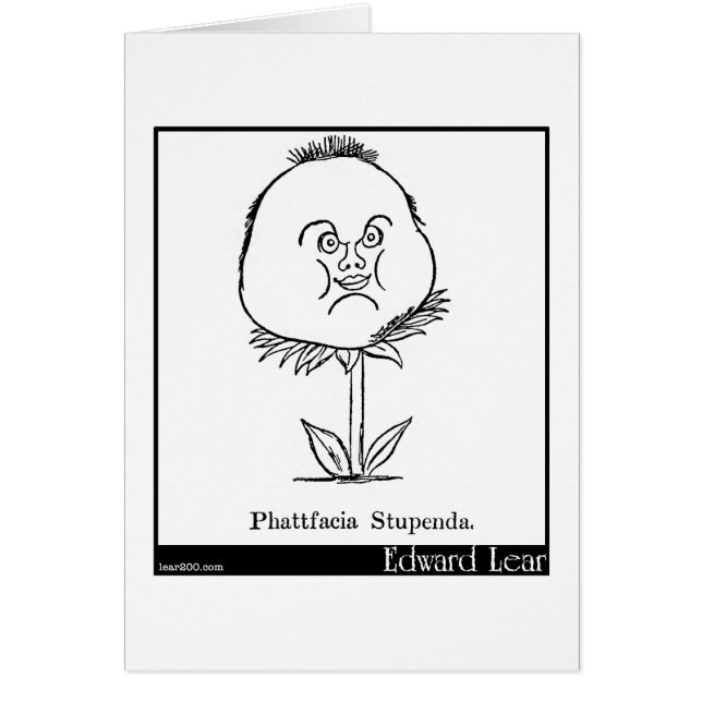 Phattfacia Stupenda. (Vorne)