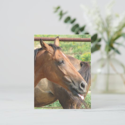 Phbttttttttt!!!! Postkarte (Stehend Vorderseite)