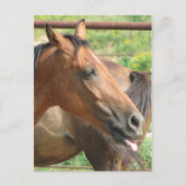 Phbttttttttt!!!! Postkarte (Vorderseite)