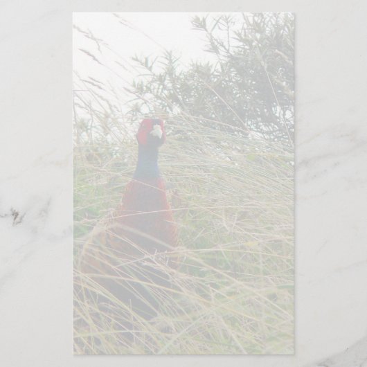 Pheantastic Briefpapier (Vorderseite)