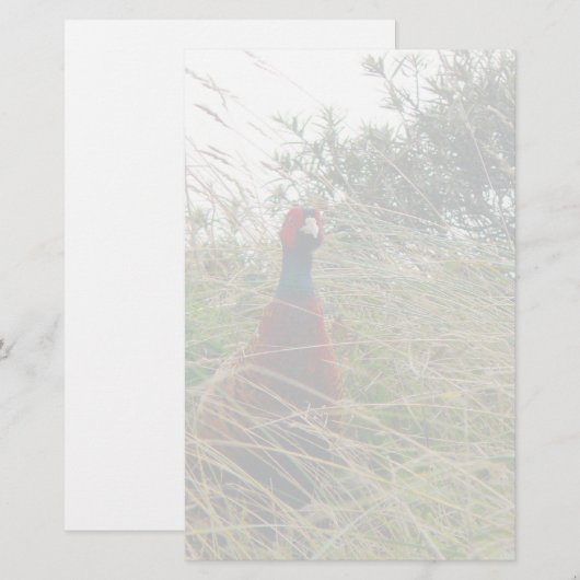 Pheantastic Briefpapier (Vorne/Hinten)