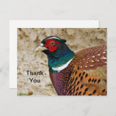 Pheasant 3 Danke, Postcard Postkarte (Vorne/Hinten)