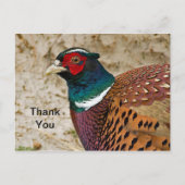 Pheasant 3 Danke, Postcard Postkarte (Vorderseite)