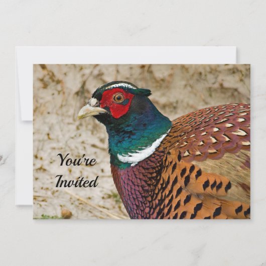 Pheasant 3 Einladung zum Geburtstag (Vorderseite)