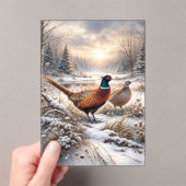 Pheasant acryleinladungen (Insitu (Handheld))