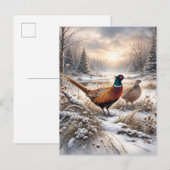 Pheasant  ankündigungspostkarte (Vorne/Hinten)