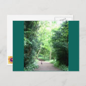 Pheasant auf dem Waldweg Foto Postkarte (Vorne/Hinten)