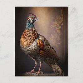 Pheasant Bird Postcard Postkarte