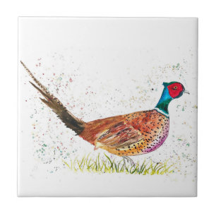 Pheasant Bird Wildlife Fliese