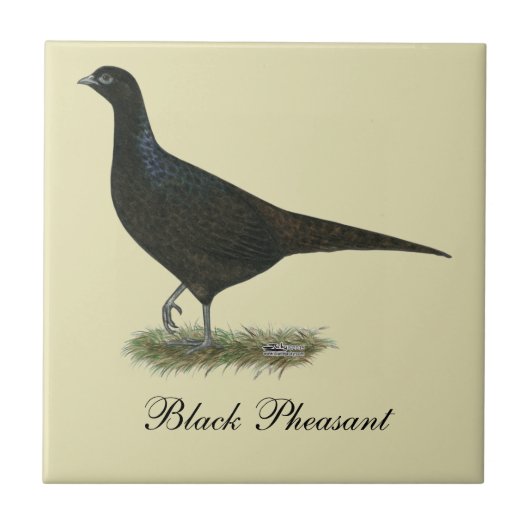 Pheasant Black Hen Fliese (Vorderseite)