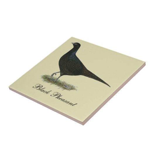 Pheasant Black Hen Fliese (Seite)