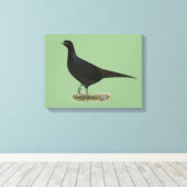 Pheasant Black Hen Leinwanddruck (Insitu (Holzboden))