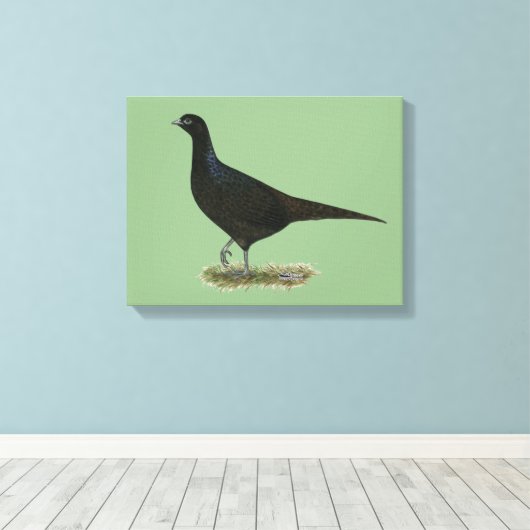 Pheasant Black Hen Leinwanddruck (Insitu (Holzboden))
