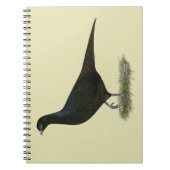 Pheasant Black Hen Notizblock (Vorderseite)