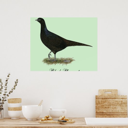 Pheasant Black Hen Poster (Küche)