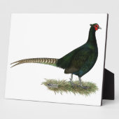 Pheasant Black Rooster Fotoplatte (Seite)