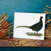 Pheasant Black Rooster Fotoplatte (Seite)