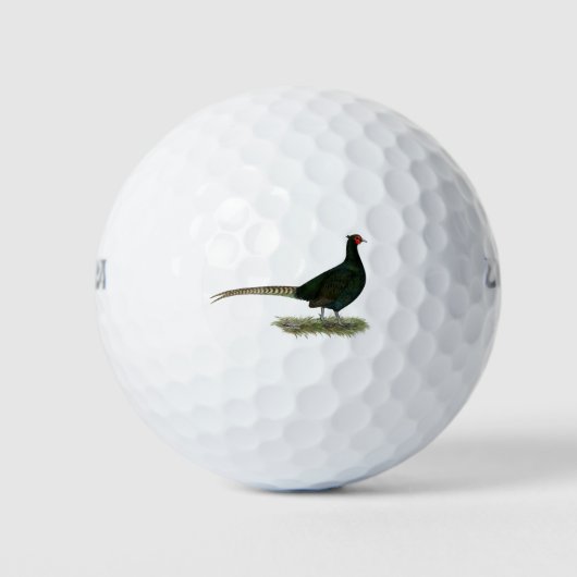 Pheasant Black Rooster Golfball (Vorderseite)