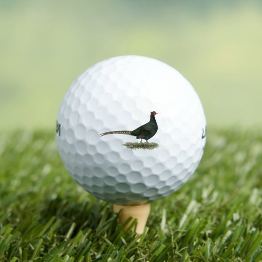 Pheasant Black Rooster Golfball (Insitu T-Shirt)