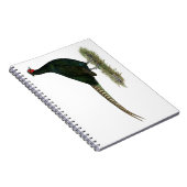 Pheasant Black Rooster Notizblock (Rechte Seite)