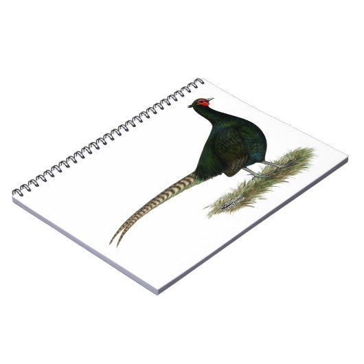 Pheasant Black Rooster Notizblock (Linke Seite)