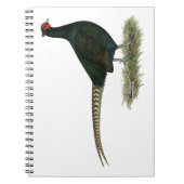 Pheasant Black Rooster Notizblock (Vorderseite)