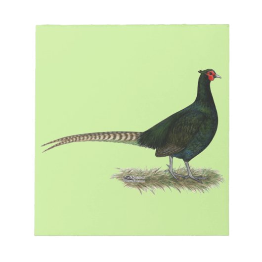 Pheasant Black Rooster Notizblock (Vorderseite)