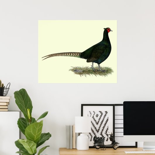 Pheasant Black Rooster Poster (Heimbüro)