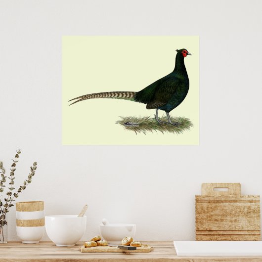 Pheasant Black Rooster Poster (Küche)