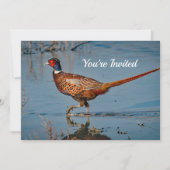Pheasant Blue Water Foto Geburtstag Einladung (Vorderseite)