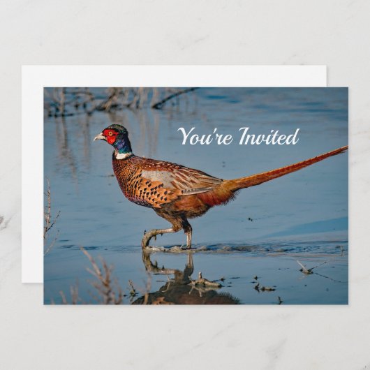 Pheasant Blue Water Foto Geburtstag Einladung (Vorne/Hinten)