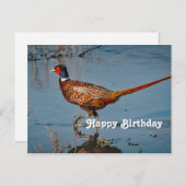 Pheasant Blue Water Foto Geburtstag Postkarte (Vorne/Hinten)