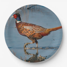 Pheasant Blue Water Foto Pappteller