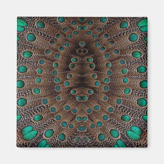 Pheasant Feather Fraktal Design Magnet (Vorne)