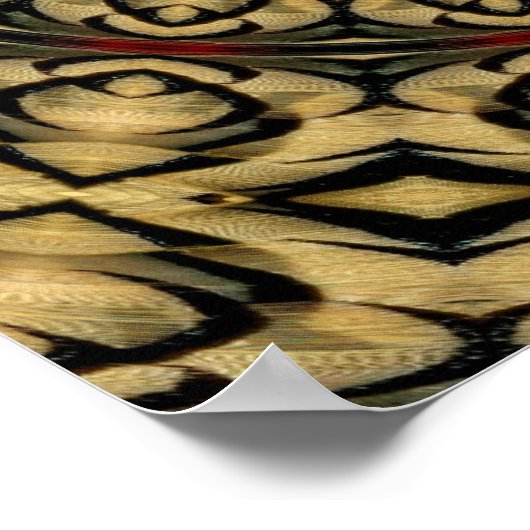 Pheasant Feathers Kaleidoscope Poster (Ecke)